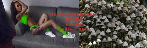 бутират Елабуга