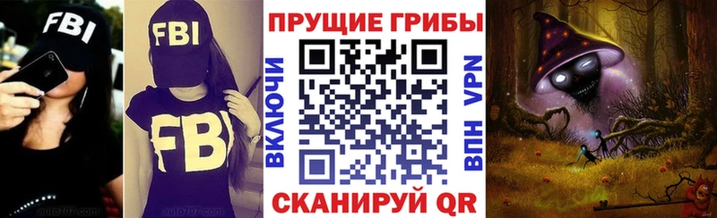 Купить где  Углегорск  Галлюциногенные грибы Psilocybe 